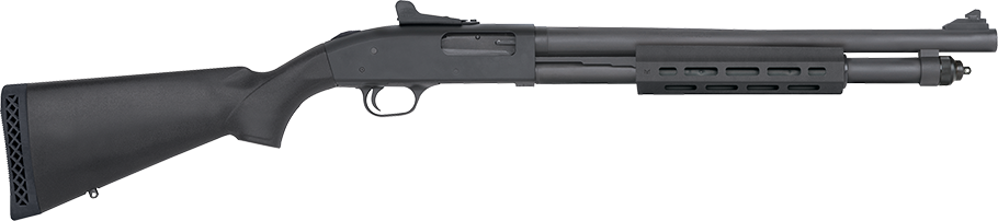 50765-catalog.png